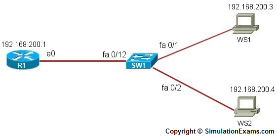 Network+ Lab Sim image