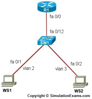 Network+ Lab Sim image