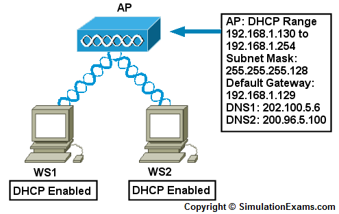 Network+ Lab Sim image