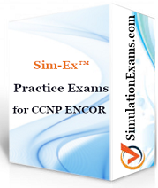 CCNP Route Exam Simulator BoxShot